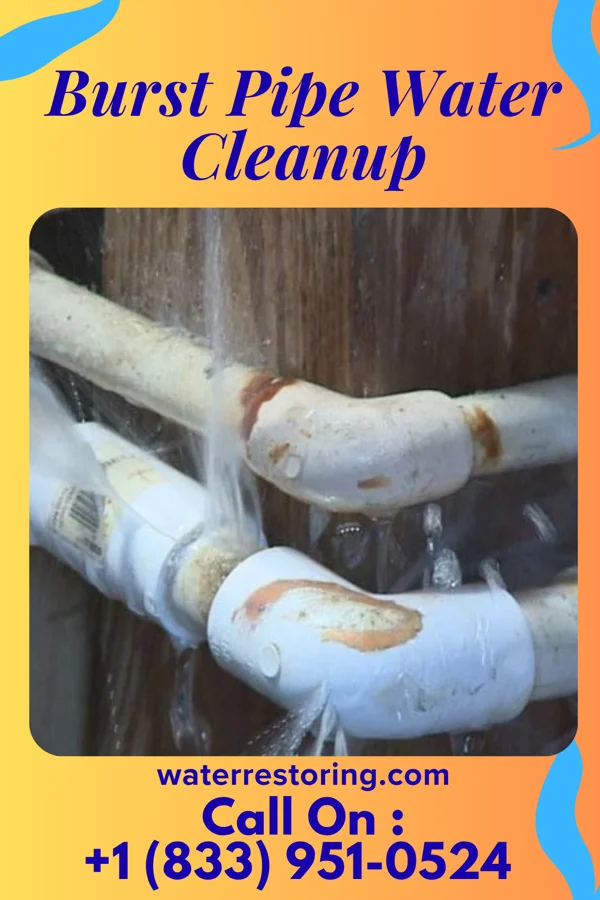 Burst Pipe Water Cleanup in New Weston, OH