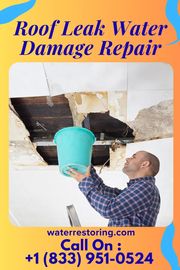 Roof Leak Water Damage Repair in New Weston, OH