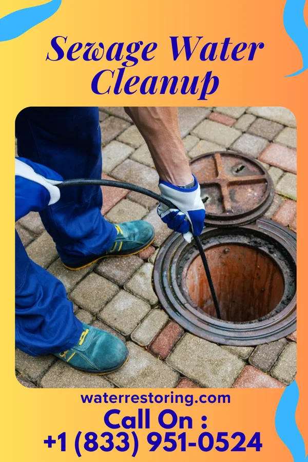 Sewage Water Cleanup in New Weston, OH