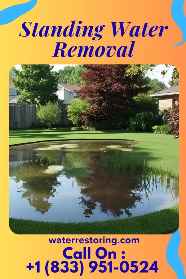 Standing Water Removal in New Weston, OH